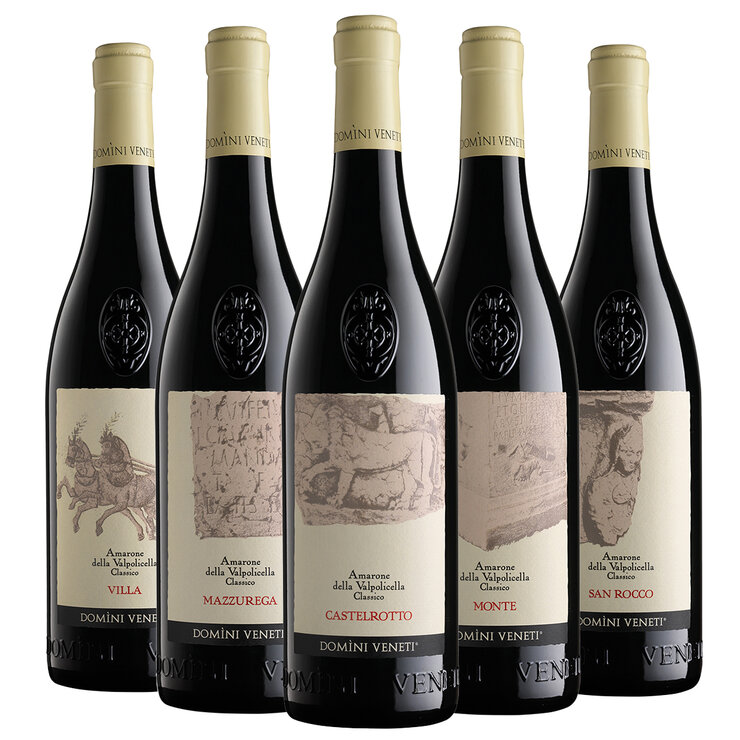 Vino Tinto Espressioni Amarone della Valpolicella Classico 5/750 ml — Imagen 1 de 4