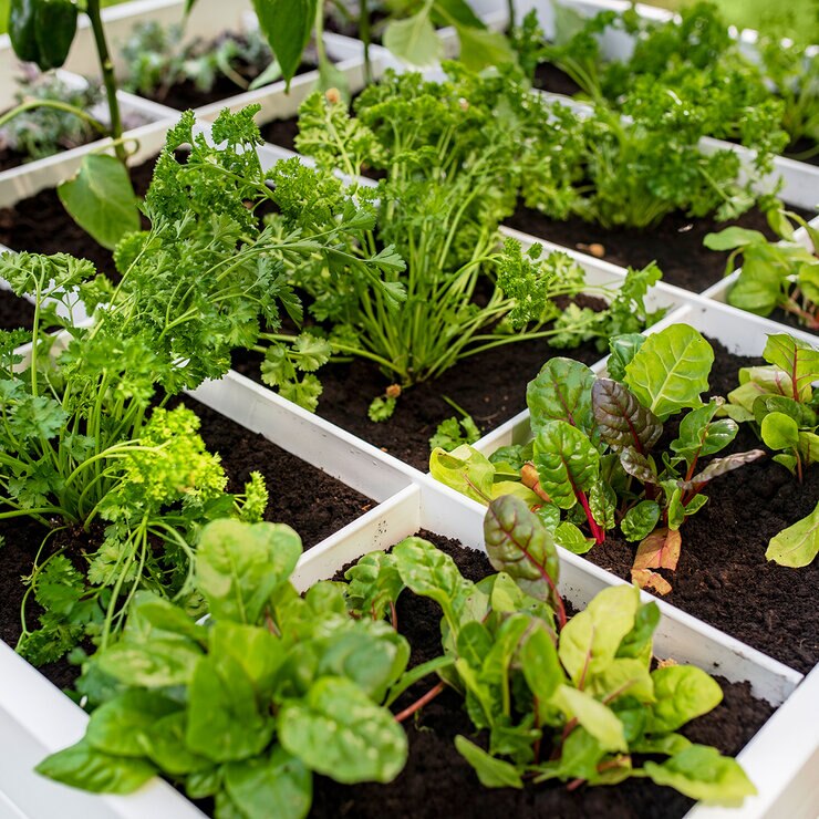 Vita Gardens huerto de dos piezas con rejilla guía — Imagen 3 de 4