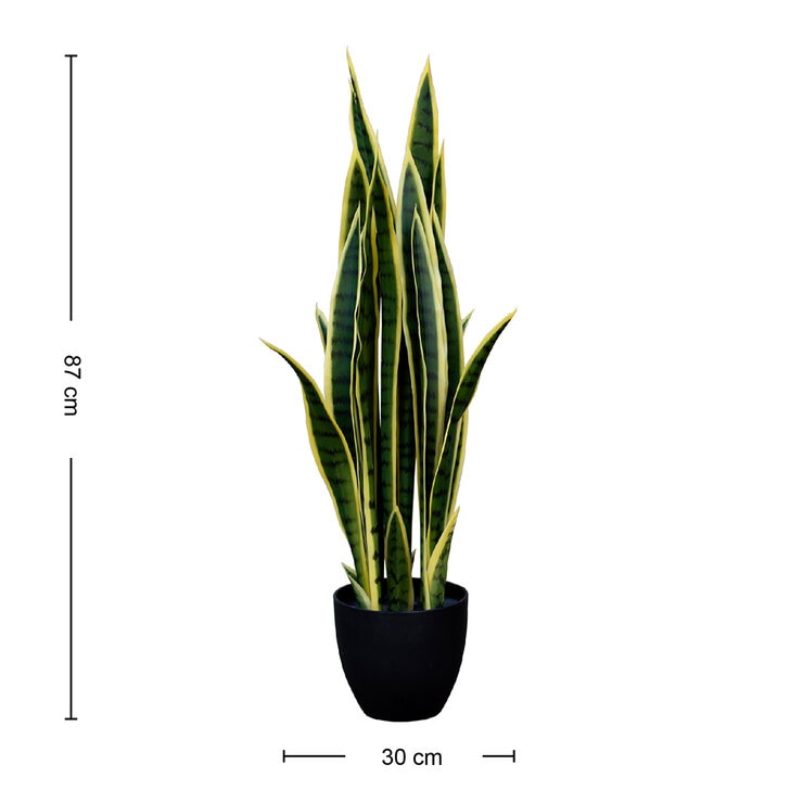Apariencia Natural, Sansevieria Artificial en Maceta — Imagen 2 de 4