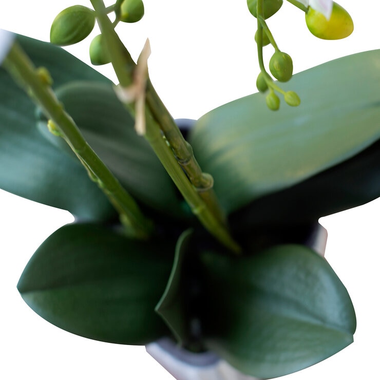 Apariencia Natural, Orquídea Artificial — Imagen 3 de 4