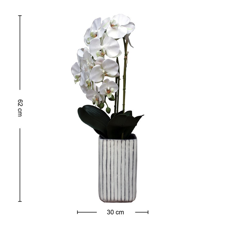 Apariencia Natural, Orquídea Artificial — Imagen 2 de 4