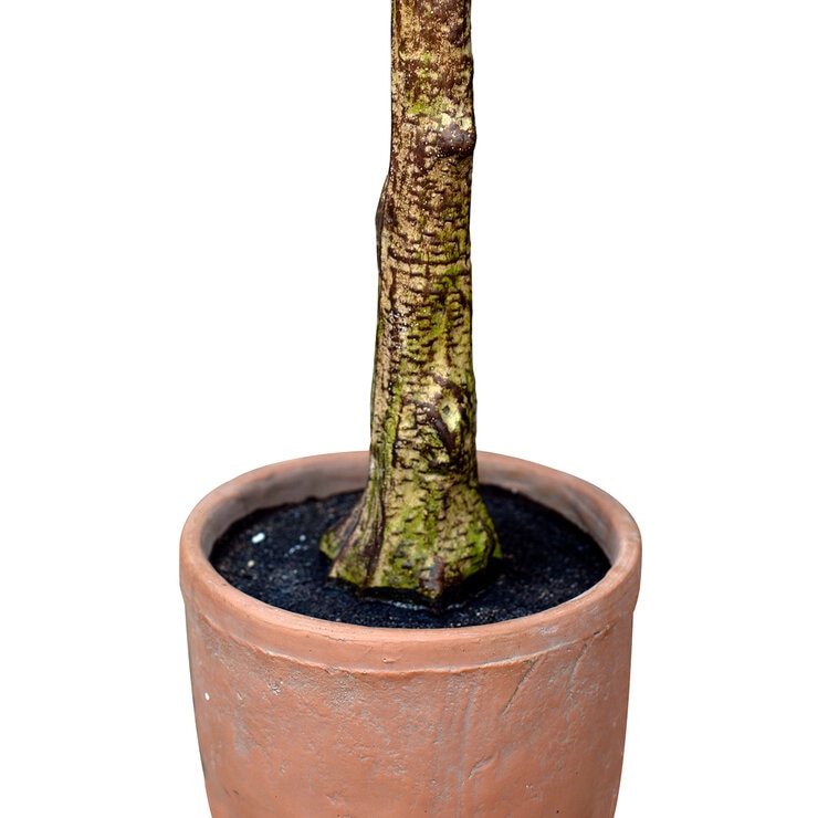 Apariencia Natural, Olivo Artificial — Imagen 2 de 4
