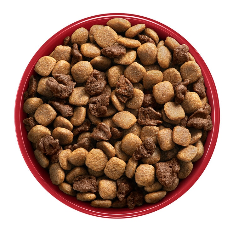 Purina One Alimento para Perro Adulto con Pollo y Carne 12 kg — Imagen 2 de 4