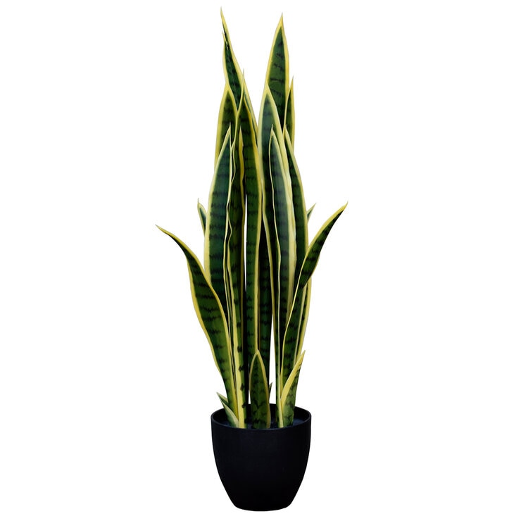 Apariencia Natural, Sansevieria Artificial en Maceta — Imagen 4 de 4