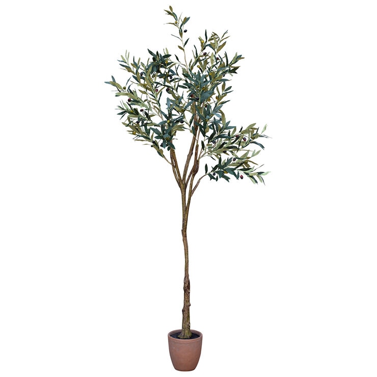 Apariencia Natural, Olivo Artificial — Imagen 4 de 4