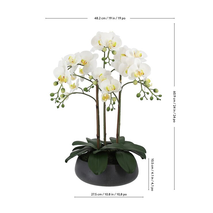 CG Hunter, Arreglo de Orquídeas de Aspecto Natural — Imagen 2 de 4