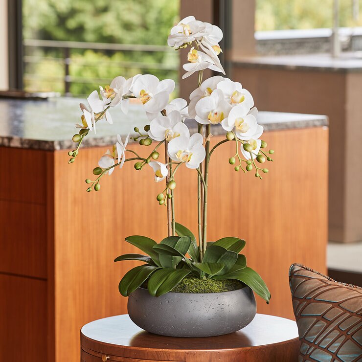 CG Hunter, Arreglo de Orquídeas de Aspecto Natural — Imagen 1 de 4