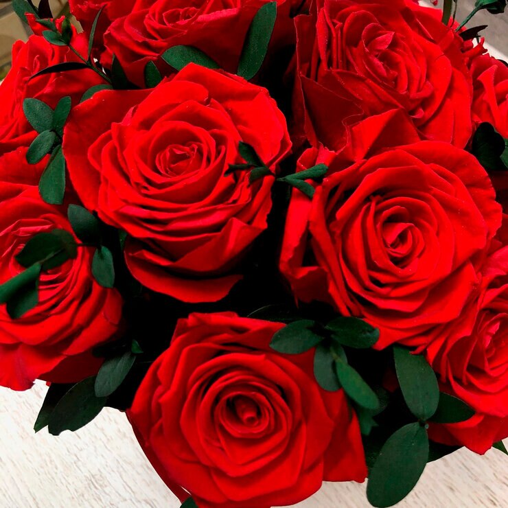 Mina'an Flor Eterna, Arreglo Con 12 Rosas Preservadas Color Rojo — Imagen 3 de 3