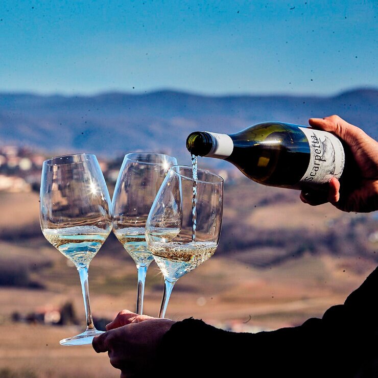 Vino Blanco Scarpetta Pinot Grigio 750ml — Imagen 2 de 4