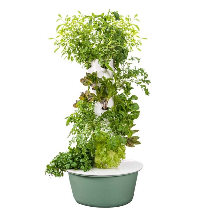 Granjas Verticales, Sistema Hidropónico , Modelo Granjita, para 20 plantas — Imagen 1 de 3