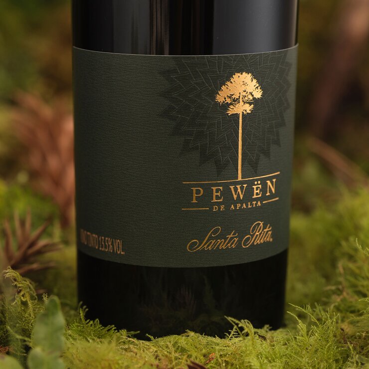 Vino Tinto Santa Rita Pewën de Apalta Carmenere 750 ml — Imagen 2 de 4
