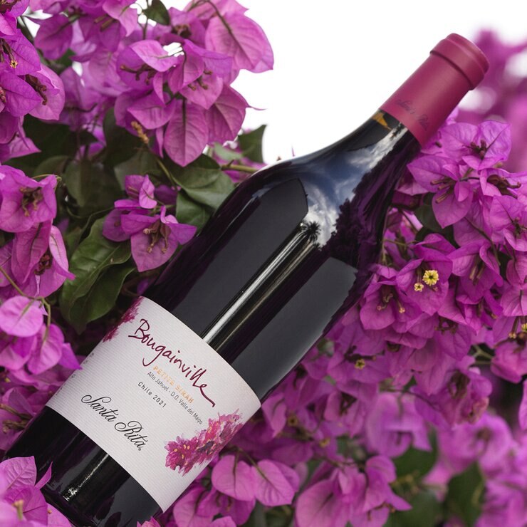 Vino Tinto Santa Rita Bougainville Petite Sirah 750 ml — Imagen 2 de 4