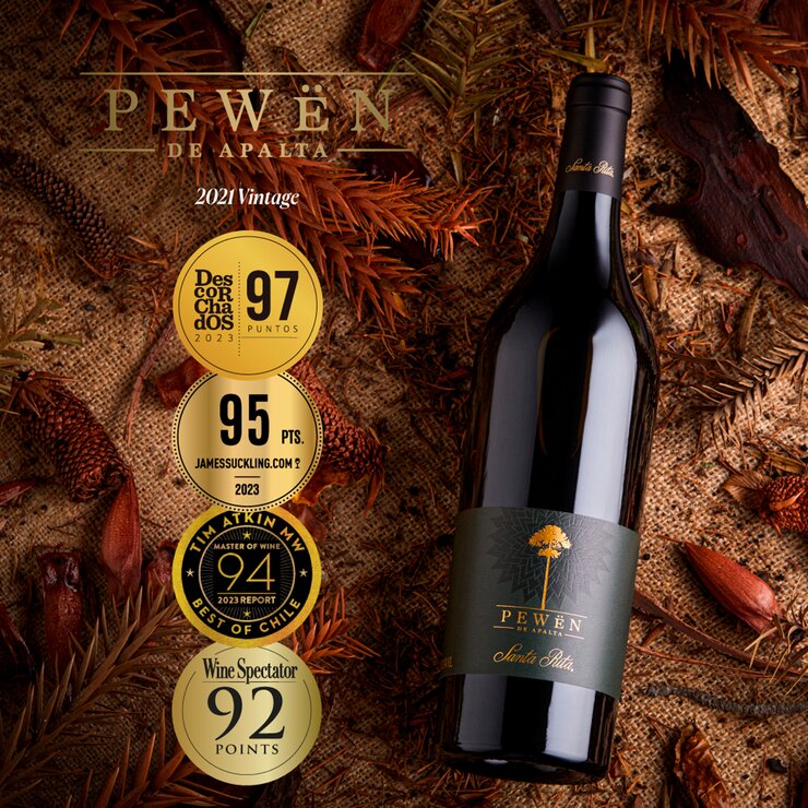 Vino Tinto Santa Rita Pewën de Apalta Carmenere 750 ml — Imagen 3 de 4