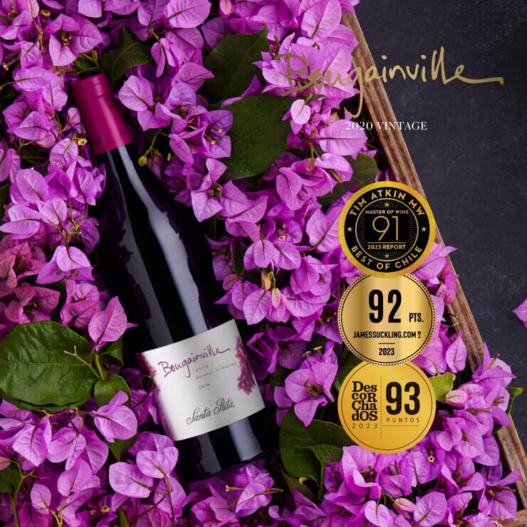 Vino Tinto Santa Rita Bougainville Petite Sirah 750 ml — Imagen 3 de 4