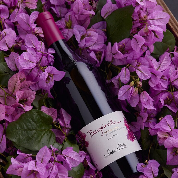 Vino Tinto Santa Rita Bougainville Petite Sirah 750 ml — Imagen 4 de 4