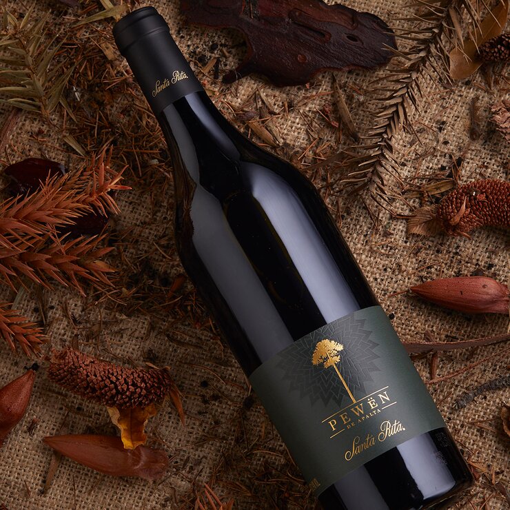 Vino Tinto Santa Rita Pewën de Apalta Carmenere 750 ml — Imagen 4 de 4