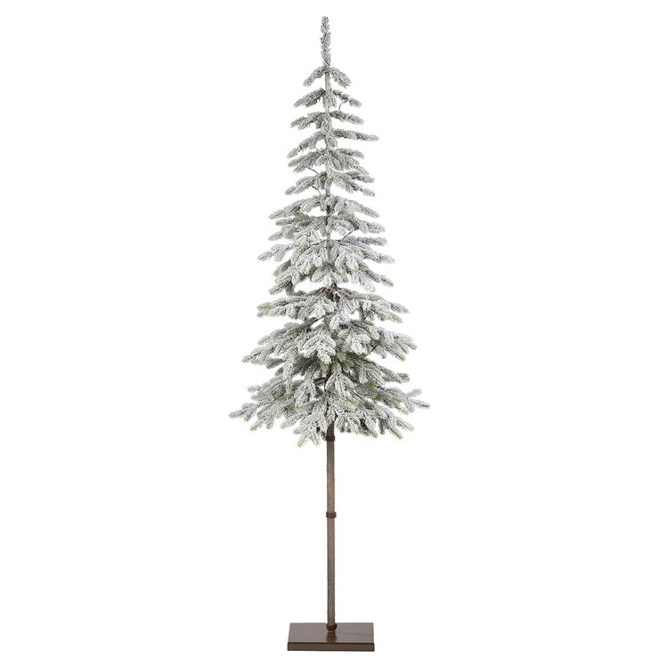 Árbol Alpino Escarchado  — Imagen 2 de 4