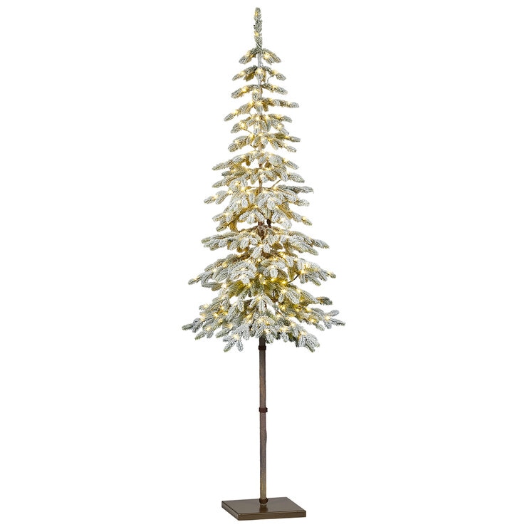 Árbol Alpino Escarchado  — Imagen 3 de 4