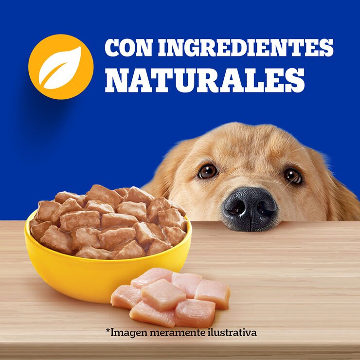 Pedigree Alimento Para Perros Adultos Multisabor 30 pzs de 100 gr — Imagen 2 de 4