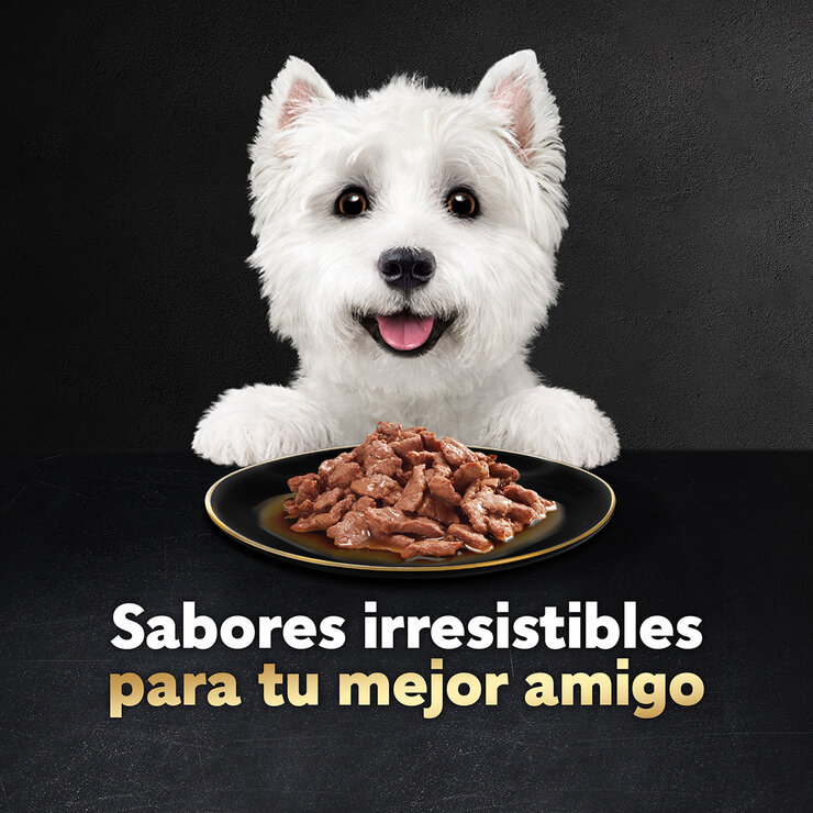 Cesar Alimento Húmedo para Perro Multisabor 24 pzas de 75 gr — Imagen 2 de 4