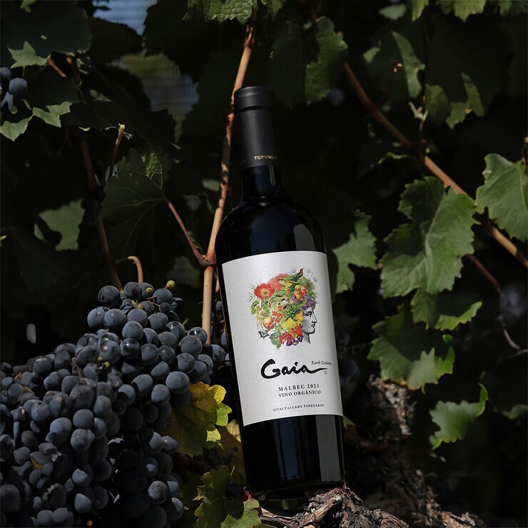 Vino Tinto Gaia Malbec Orgánico 750 ml — Imagen 2 de 2