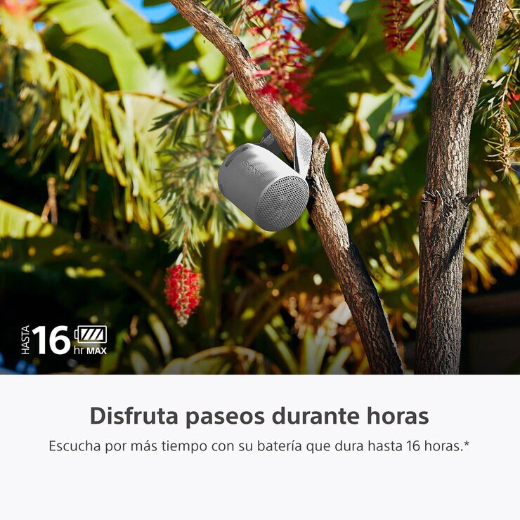 Sony SRS-XB100 Bocina Inalámbrica Portátil Gris — Imagen 2 de 4