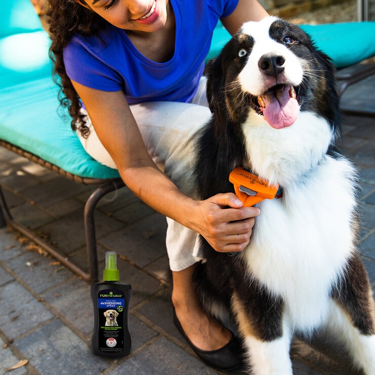 FURminator Kit Removedor de Pelo para Perro 2 pzs — Imagen 3 de 4