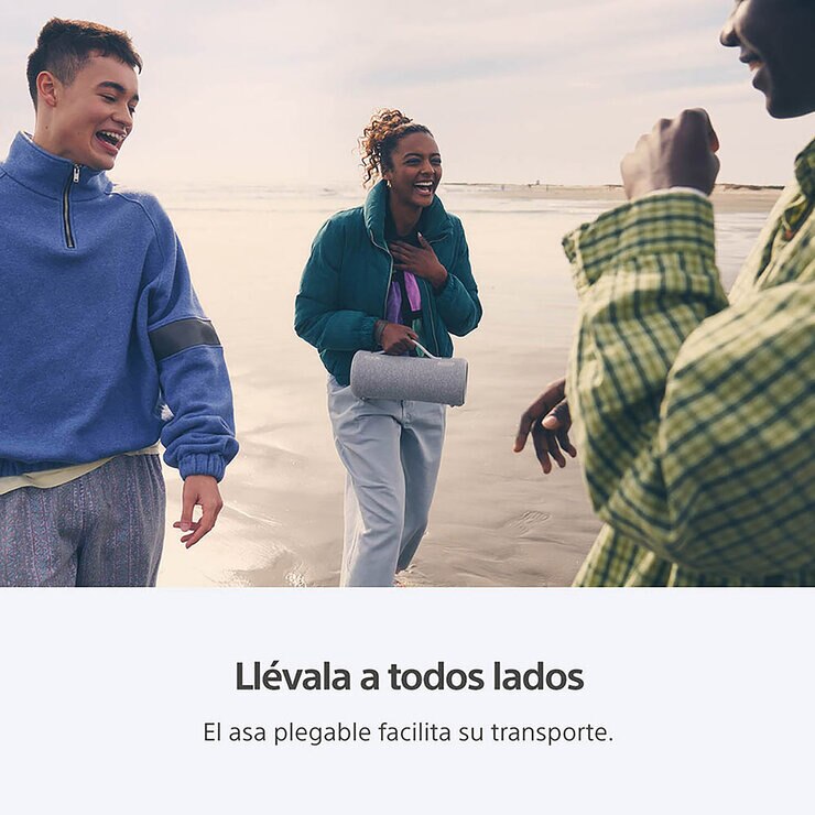 Sony SRS-XG300 Bocina Inalámbrica Portátil Gris — Imagen 3 de 4