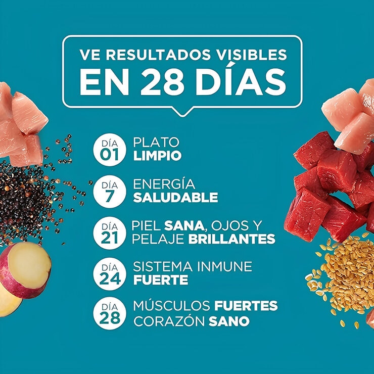 Purina One Alimento Húmedo para Gatos Multisabor 24 pzas — Imagen 3 de 4