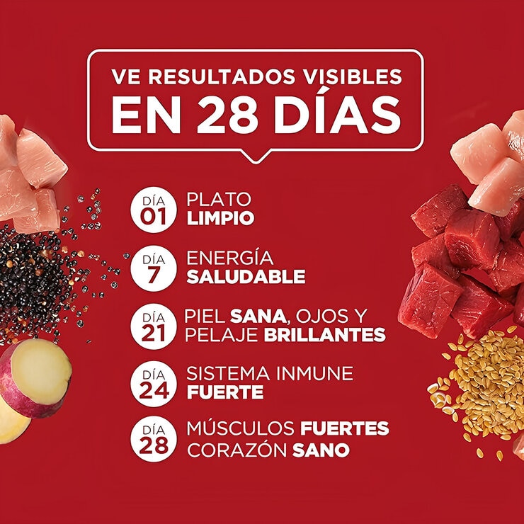 Purina One Alimento Húmedo para Perro 24 pzas — Imagen 3 de 4