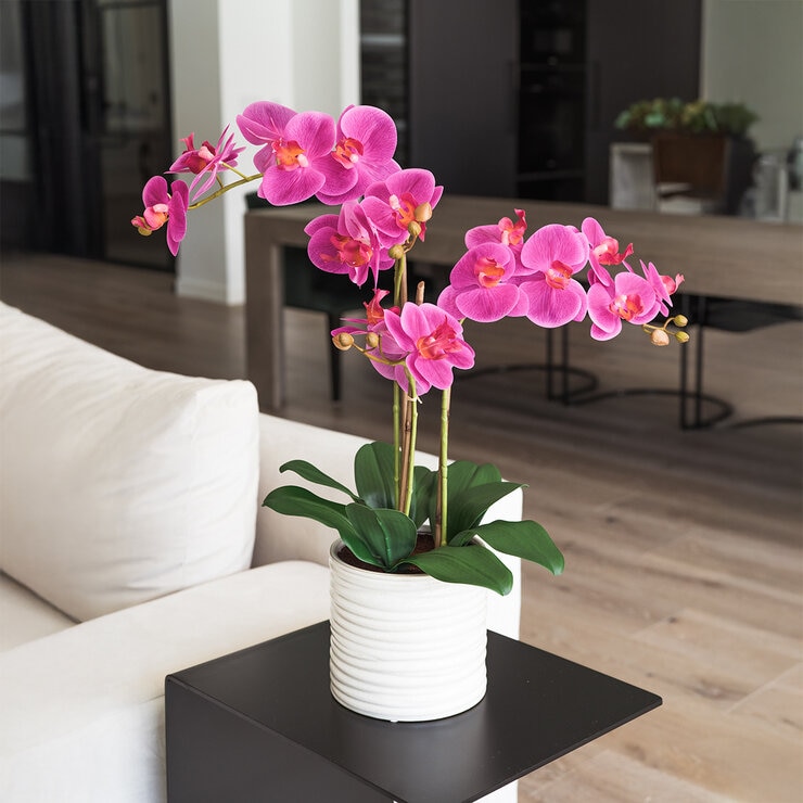 CG Hunter, Arreglo de OrquÍdeas de Aspecto Natural — Imagen 1 de 2