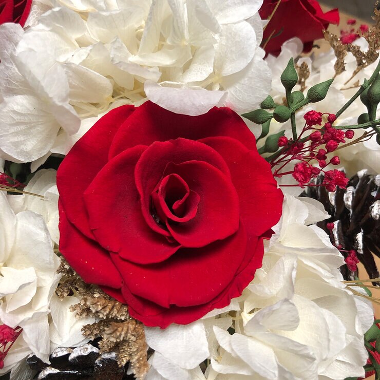 Palma & Jordan, Bouquet Navideño, Listón Rojo, Caja Blanca — Imagen 4 de 4
