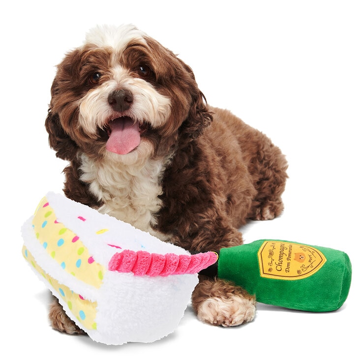 Bark Kit de Fiesta para Mascotas 4 pzs — Imagen 4 de 4