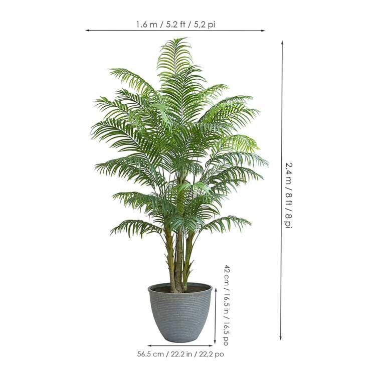 CG Hunter, Palmera de Aspecto Natural — Imagen 3 de 4