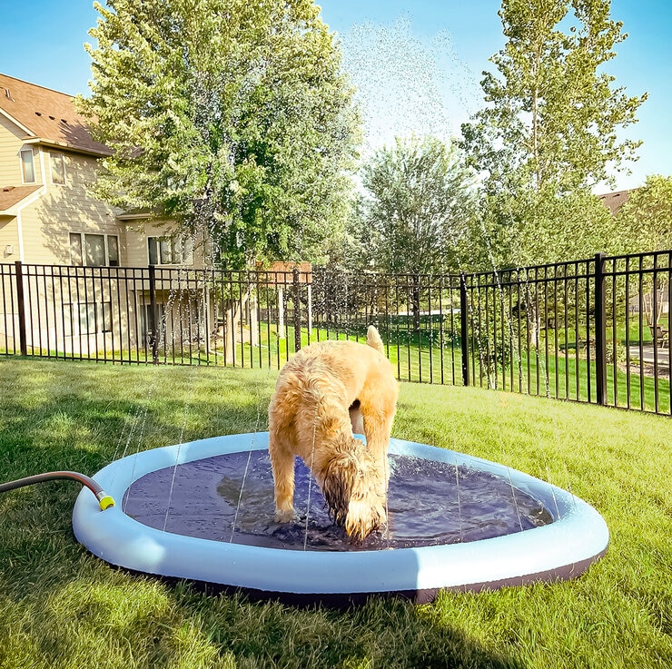 Companion Gear Tapete para Mascota — Imagen 2 de 3