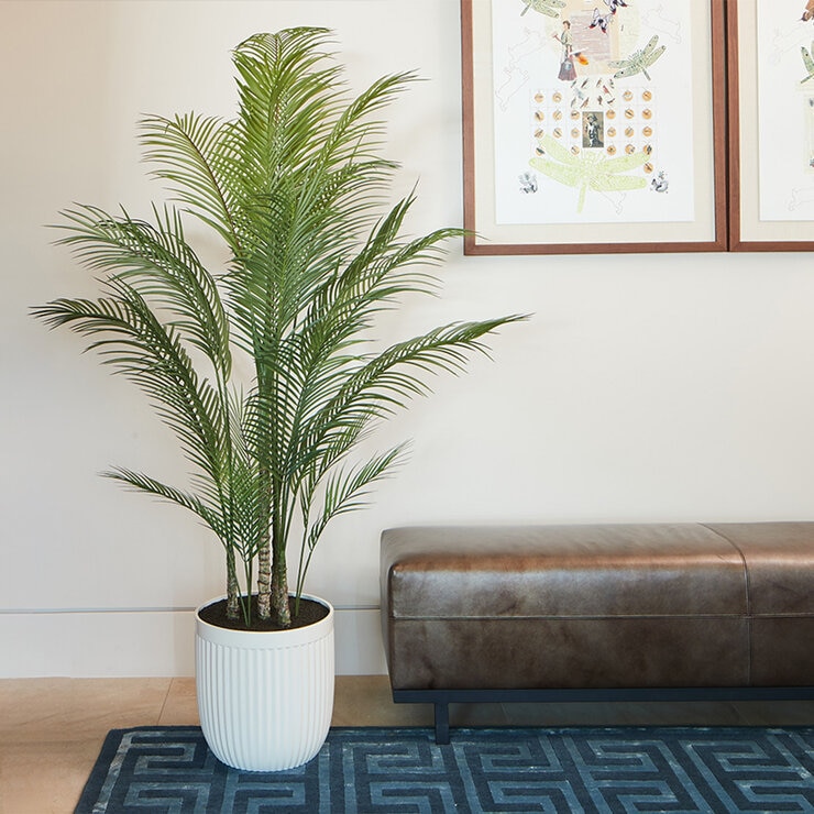CG Hunter, Palmera Artificial — Imagen 3 de 4