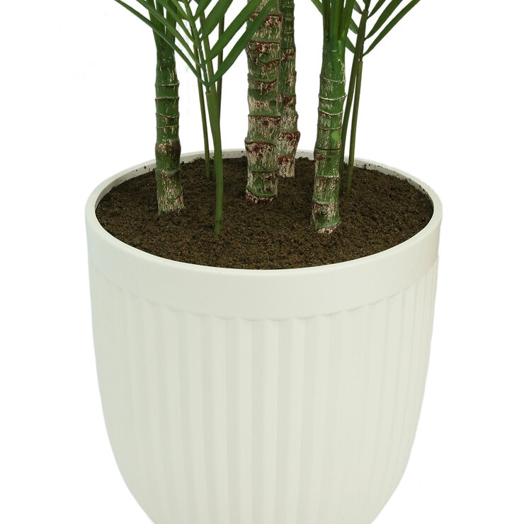 CG Hunter, Palmera Artificial — Imagen 4 de 4