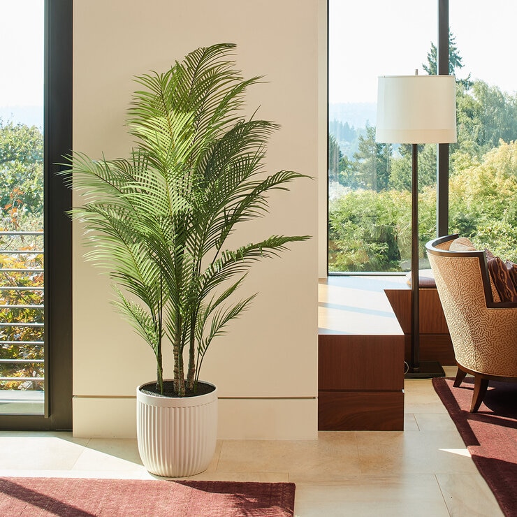 CG Hunter, Palmera Artificial — Imagen 1 de 4