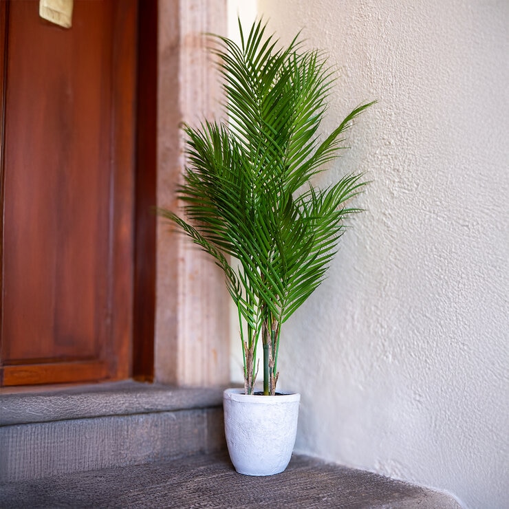 Apariencia Natural, Palmera Areca Artificial — Imagen 1 de 4