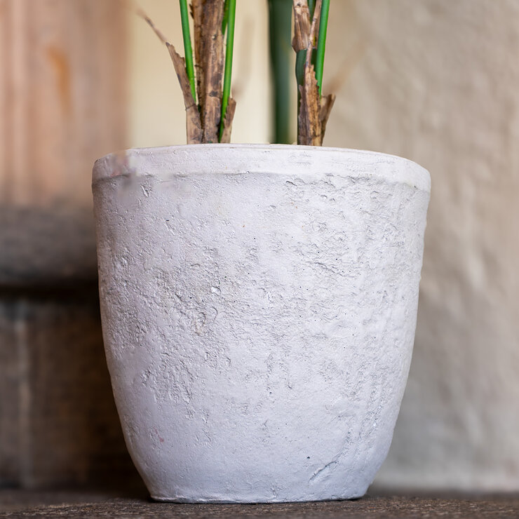 Apariencia Natural, Palmera Areca Artificial — Imagen 2 de 4