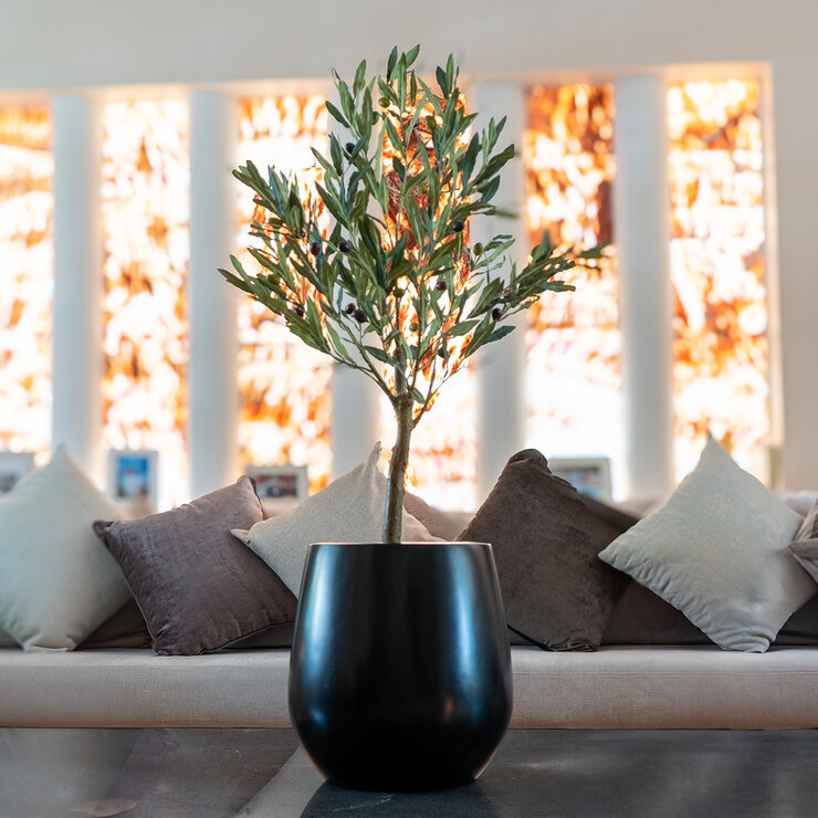 Apariencia Natural, Árbol de Olivo Artificial — Imagen 3 de 3