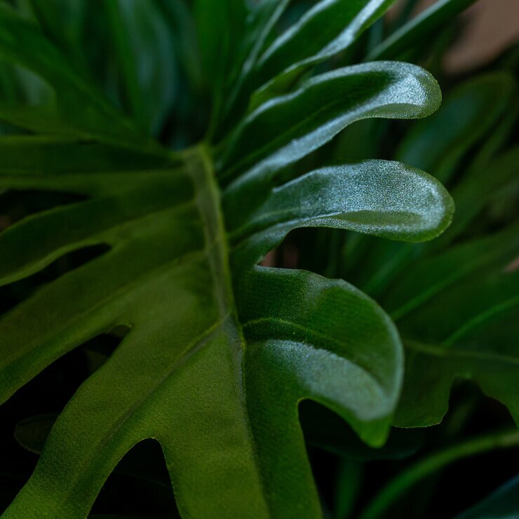 Apariencia Natural, Garra de León Artificial — Imagen 2 de 4