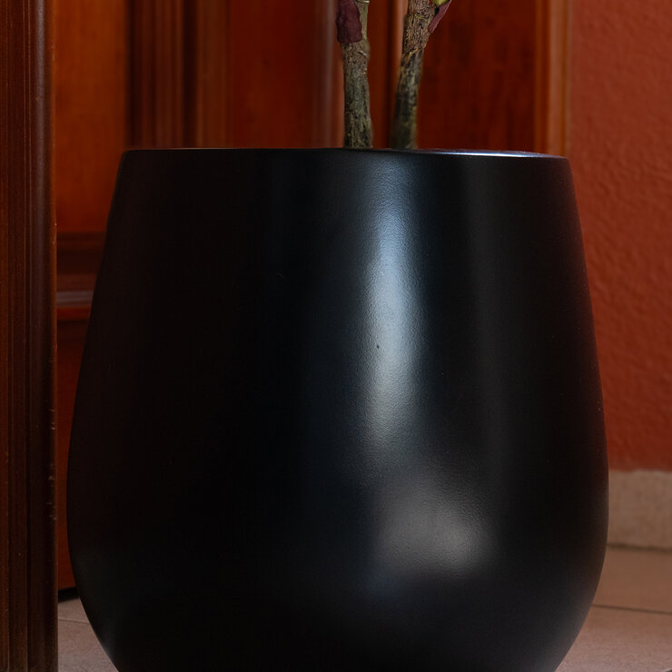 Apariencia Natural, Pandurata Mediano Artificial — Imagen 2 de 4
