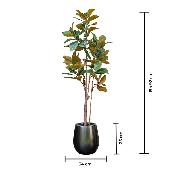 Apariencia Natural, Árbol de Magnolia Artificial — Imagen 3 de 4