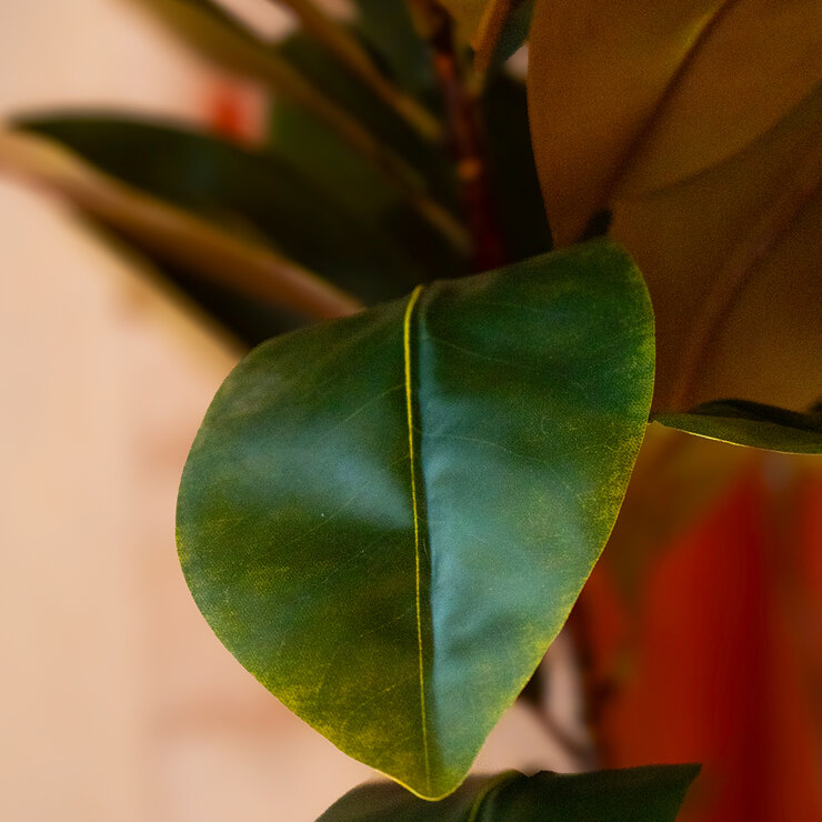 Apariencia Natural, Árbol de Magnolia Artificial — Imagen 4 de 4