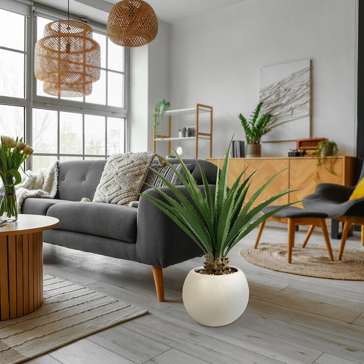 CG Hunter, Agave Artificial — Imagen 2 de 4