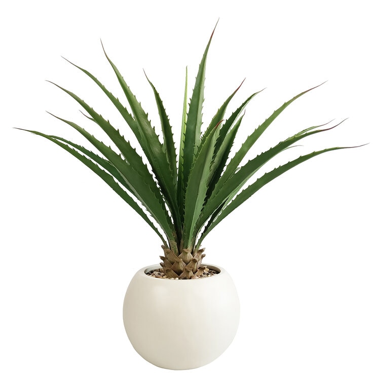 CG Hunter, Agave Artificial — Imagen 3 de 4