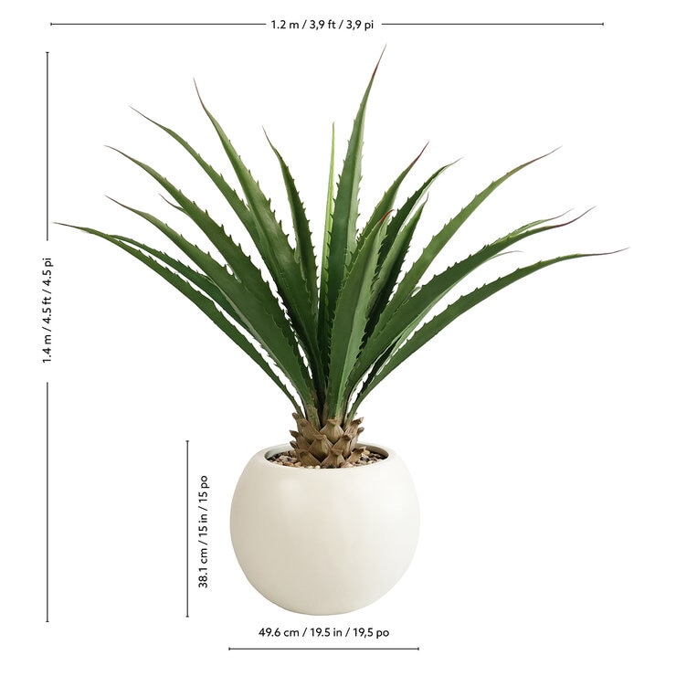 CG Hunter, Agave Artificial — Imagen 4 de 4