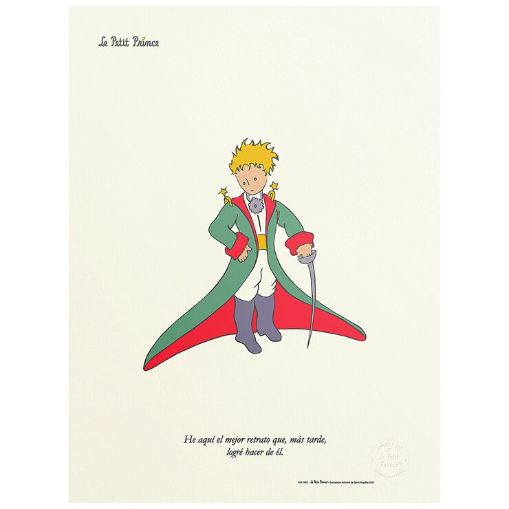 Black Is Color, Cuadro Decorativo El Principito, Enmarcado "Un Abrazo de la Tierra" — Imagen 3 de 3