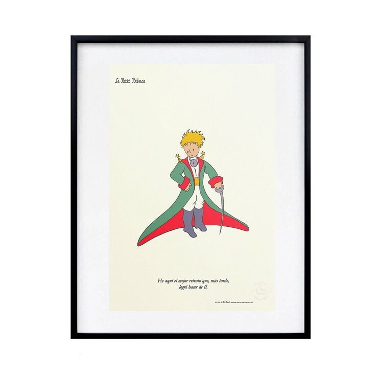 Black Is Color, Cuadro Decorativo El Principito, Enmarcado "Un Abrazo de la Tierra" — Imagen 1 de 3
